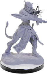 WizKids D&D Nolzur's Marvelous Miniatures: Tiefling Warlocks Dungeons and Dragons Unpainted Miniatures