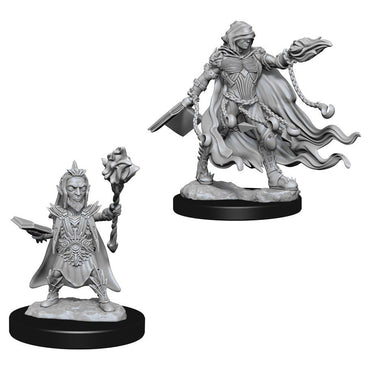 Evil Wizards: Pathfinder Deep Cuts Unpainted Miniatures